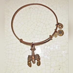 Alex and Ani Scorpion Charm Copper Tone Wire Bangle